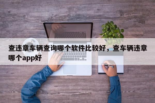 查违章车辆查询哪个软件比较好，查车辆违章哪个app好-第1张图片-我家生活百科