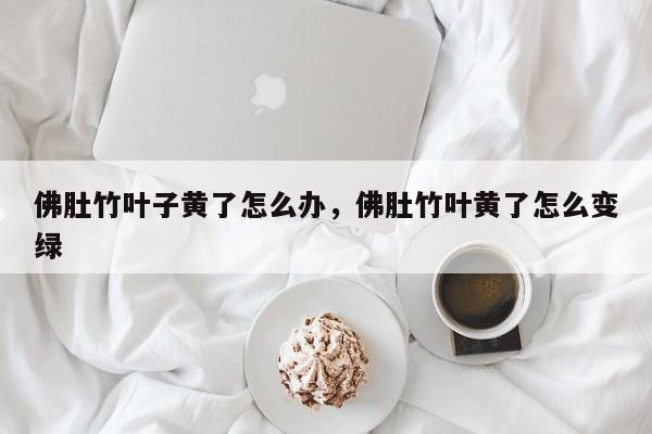 佛肚竹叶子黄了怎么办，佛肚竹叶黄了怎么变绿-第1张图片-我家生活百科
