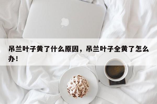 吊兰叶子黄了什么原因，吊兰叶子全黄了怎么办！-第1张图片-我家生活百科