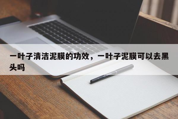 一叶子清洁泥膜的功效，一叶子泥膜可以去黑头吗-第1张图片-我家生活百科