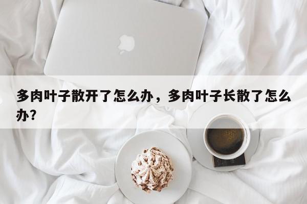 多肉叶子散开了怎么办，多肉叶子长散了怎么办？-第1张图片-我家生活百科