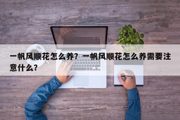 一帆风顺花怎么养？一帆风顺花怎么养需要注意什么？-第1张图片-我家生活百科