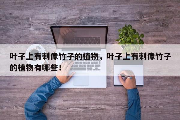 叶子上有刺像竹子的植物，叶子上有刺像竹子的植物有哪些！-第1张图片-我家生活百科