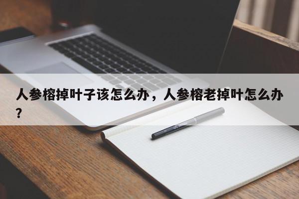 人参榕掉叶子该怎么办，人参榕老掉叶怎么办？-第1张图片-我家生活百科