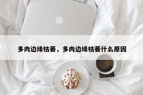 多肉边缘枯萎，多肉边缘枯萎什么原因-第1张图片-我家生活百科