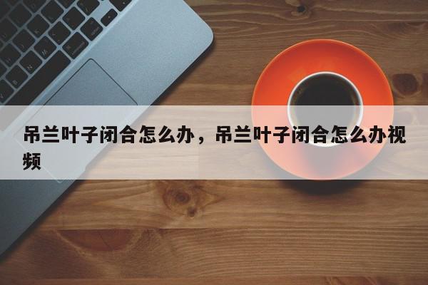 吊兰叶子闭合怎么办，吊兰叶子闭合怎么办视频-第1张图片-我家生活百科