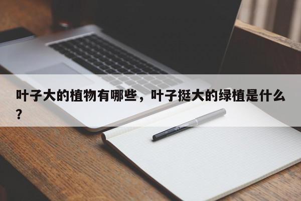 叶子大的植物有哪些，叶子挺大的绿植是什么？-第1张图片-我家生活百科