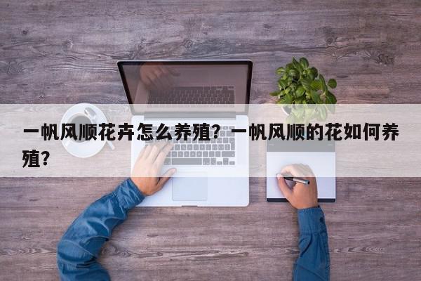 一帆风顺花卉怎么养殖？一帆风顺的花如何养殖？-第1张图片-我家生活百科