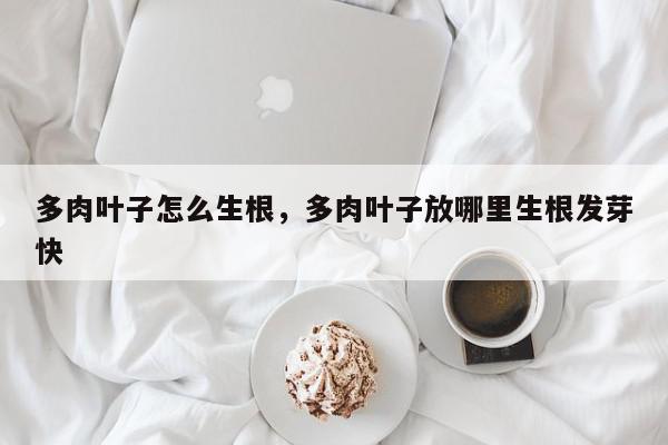 多肉叶子怎么生根，多肉叶子放哪里生根发芽快-第1张图片-我家生活百科