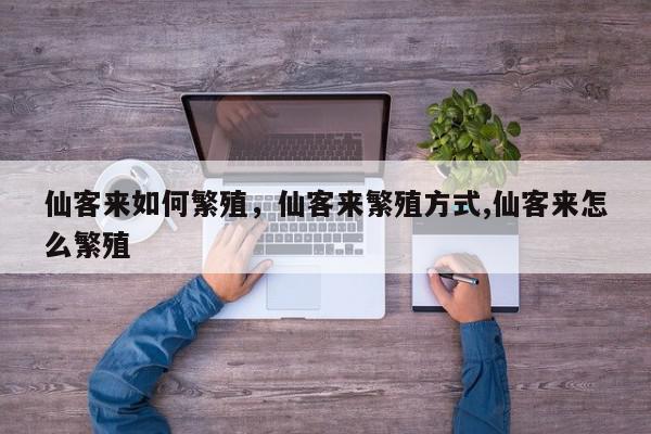 仙客来如何繁殖，仙客来繁殖方式,仙客来怎么繁殖-第1张图片-我家生活百科
