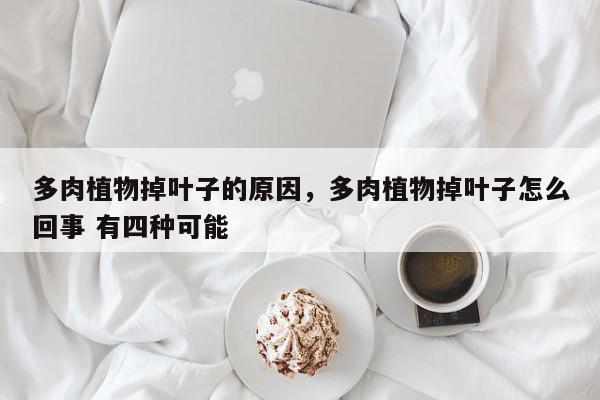 多肉植物掉叶子的原因，多肉植物掉叶子怎么回事 有四种可能-第1张图片-我家生活百科