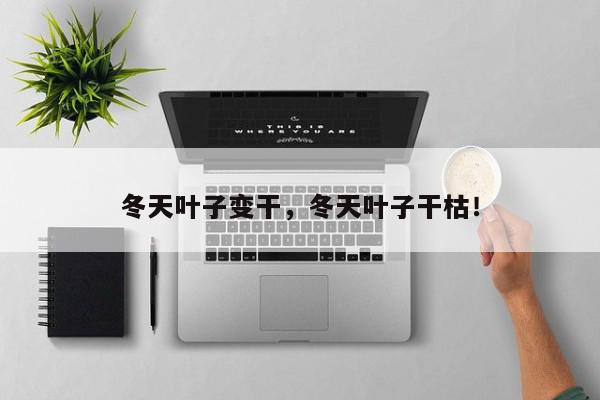 冬天叶子变干，冬天叶子干枯！-第1张图片-我家生活百科