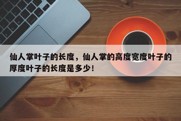 仙人掌叶子的长度，仙人掌的高度宽度叶子的厚度叶子的长度是多少！-第1张图片-我家生活百科