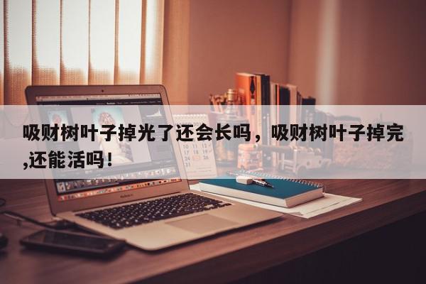 吸财树叶子掉光了还会长吗，吸财树叶子掉完,还能活吗！-第1张图片-我家生活百科