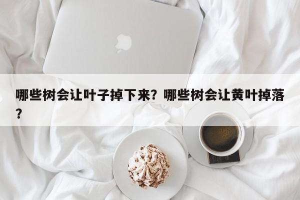 哪些树会让叶子掉下来？哪些树会让黄叶掉落？-第1张图片-我家生活百科