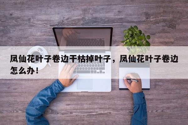 凤仙花叶子卷边干枯掉叶子，凤仙花叶子卷边怎么办！-第1张图片-我家生活百科