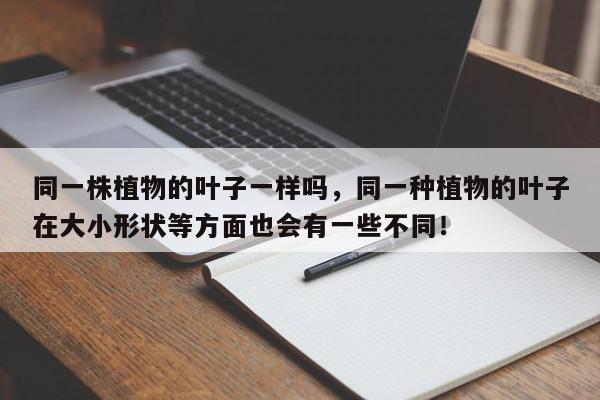 同一株植物的叶子一样吗，同一种植物的叶子在大小形状等方面也会有一些不同！-第1张图片-我家生活百科