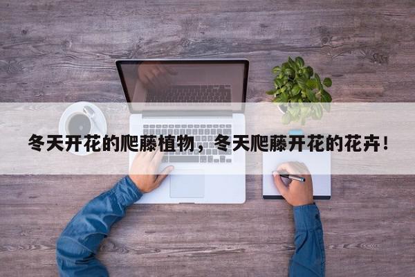 冬天开花的爬藤植物，冬天爬藤开花的花卉！-第1张图片-我家生活百科