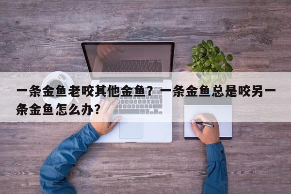 一条金鱼老咬其他金鱼？一条金鱼总是咬另一条金鱼怎么办？-第1张图片-我家生活百科