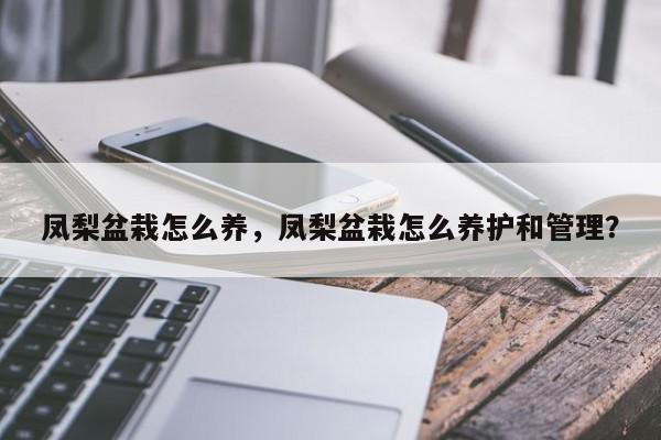 凤梨盆栽怎么养，凤梨盆栽怎么养护和管理？-第1张图片-我家生活百科
