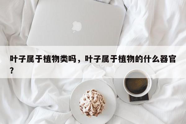 叶子属于植物类吗，叶子属于植物的什么器官？-第1张图片-我家生活百科