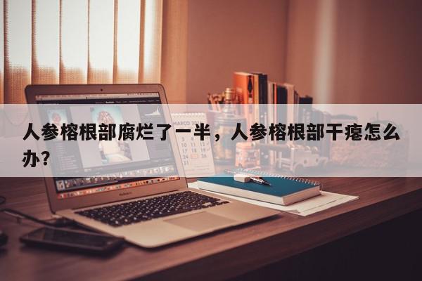 人参榕根部腐烂了一半，人参榕根部干瘪怎么办？-第1张图片-我家生活百科
