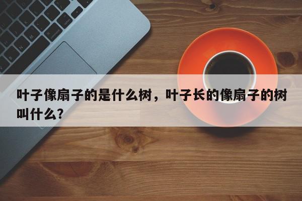 叶子像扇子的是什么树，叶子长的像扇子的树叫什么？-第1张图片-我家生活百科