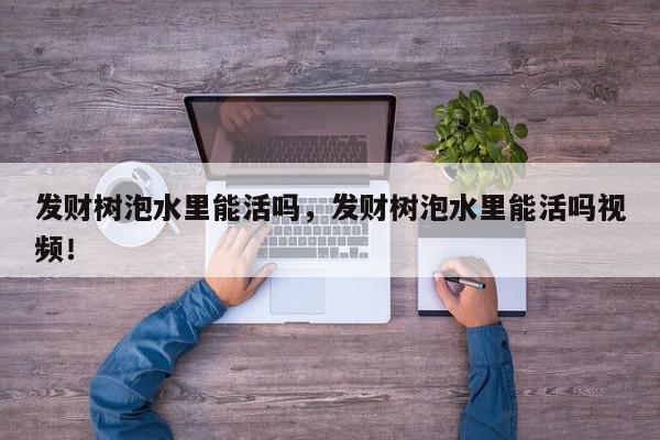 发财树泡水里能活吗，发财树泡水里能活吗视频！-第1张图片-我家生活百科