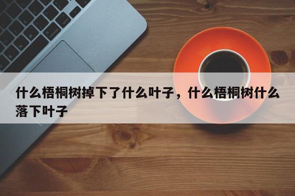 什么梧桐树掉下了什么叶子，什么梧桐树什么落下叶子-第1张图片-我家生活百科