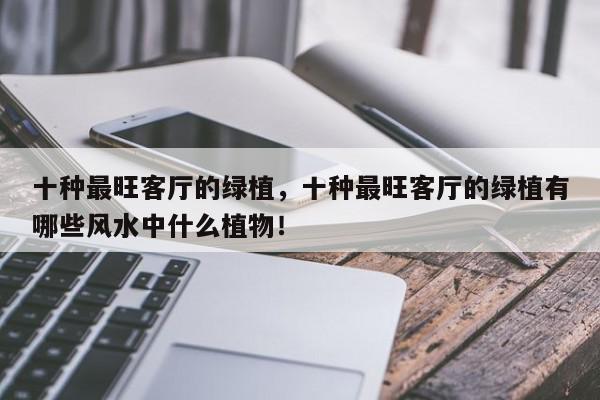 十种最旺客厅的绿植，十种最旺客厅的绿植有哪些风水中什么植物！-第1张图片-我家生活百科