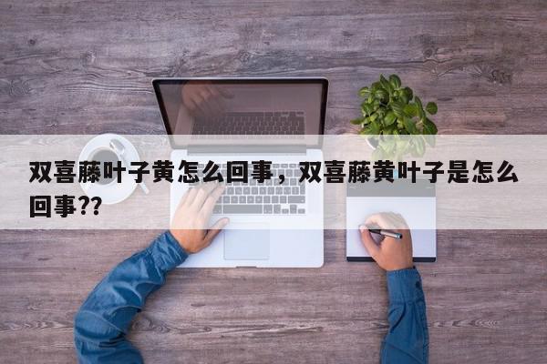 双喜藤叶子黄怎么回事，双喜藤黄叶子是怎么回事?？-第1张图片-我家生活百科