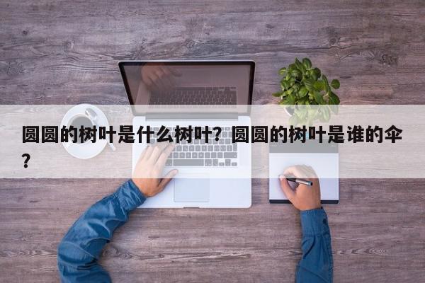 圆圆的树叶是什么树叶？圆圆的树叶是谁的伞？-第1张图片-我家生活百科