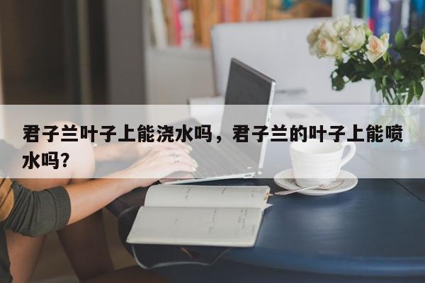 君子兰叶子上能浇水吗，君子兰的叶子上能喷水吗？-第1张图片-我家生活百科