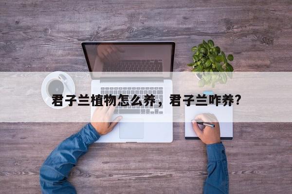 君子兰植物怎么养，君子兰咋养?-第1张图片-我家生活百科