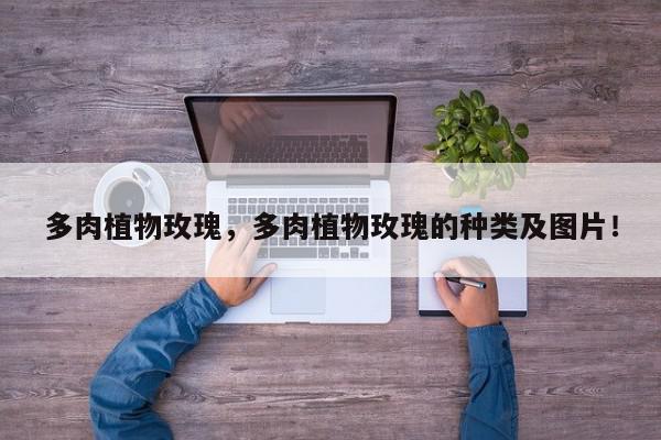 多肉植物玫瑰，多肉植物玫瑰的种类及图片！-第1张图片-我家生活百科