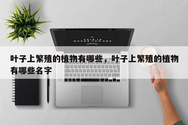 叶子上繁殖的植物有哪些，叶子上繁殖的植物有哪些名字-第1张图片-我家生活百科