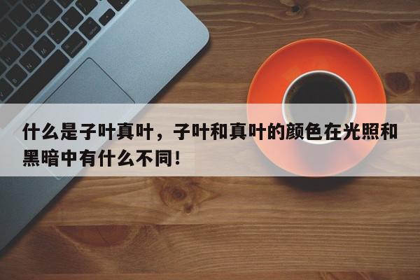 什么是子叶真叶，子叶和真叶的颜色在光照和黑暗中有什么不同！-第1张图片-我家生活百科