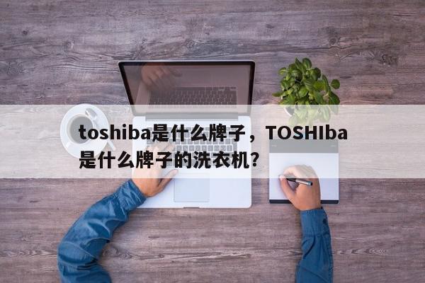 toshiba是什么牌子，TOSHIba是什么牌子的洗衣机？-第1张图片-我家生活百科
