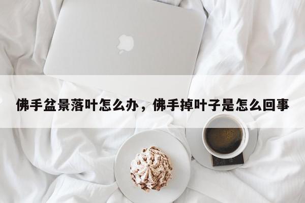佛手盆景落叶怎么办，佛手掉叶子是怎么回事-第1张图片-我家生活百科