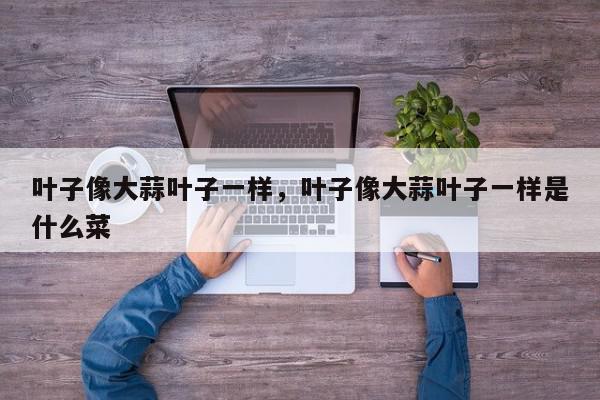 叶子像大蒜叶子一样，叶子像大蒜叶子一样是什么菜-第1张图片-我家生活百科