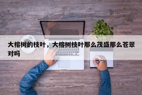 大榕树的枝叶，大榕树枝叶那么茂盛那么苍翠对吗-第1张图片-我家生活百科