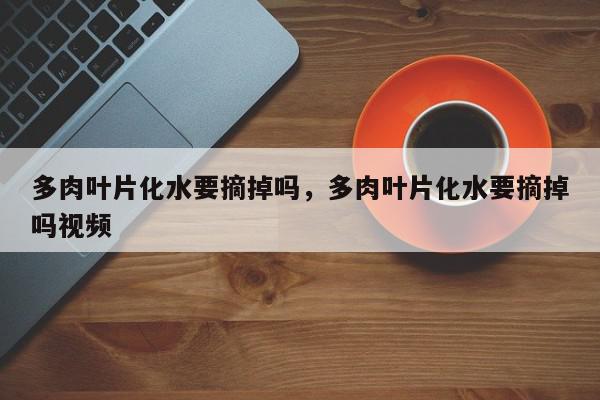 多肉叶片化水要摘掉吗，多肉叶片化水要摘掉吗视频-第1张图片-我家生活百科