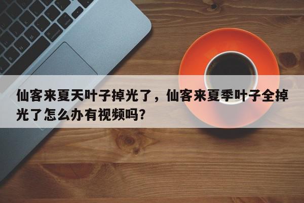 仙客来夏天叶子掉光了，仙客来夏季叶子全掉光了怎么办有视频吗？-第1张图片-我家生活百科