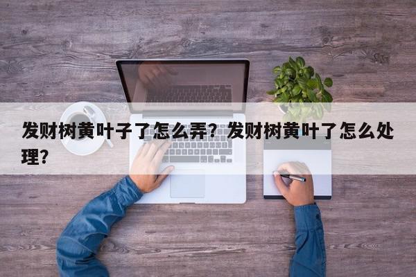发财树黄叶子了怎么弄？发财树黄叶了怎么处理？-第1张图片-我家生活百科