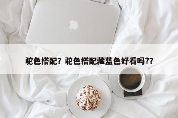 驼色搭配？驼色搭配藏蓝色好看吗?？-第1张图片-我家生活百科
