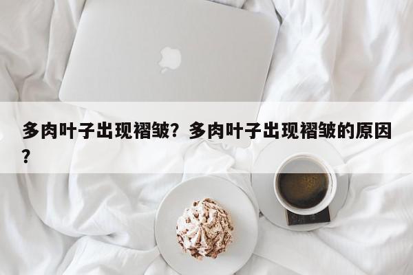 多肉叶子出现褶皱？多肉叶子出现褶皱的原因？-第1张图片-我家生活百科