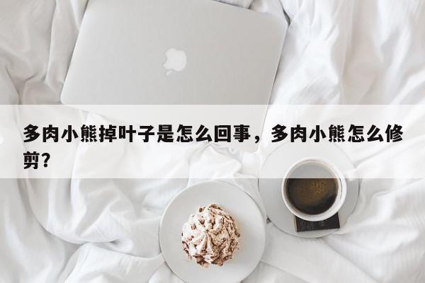 多肉小熊掉叶子是怎么回事，多肉小熊怎么修剪？-第1张图片-我家生活百科