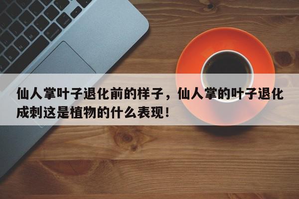 仙人掌叶子退化前的样子，仙人掌的叶子退化成刺这是植物的什么表现！-第1张图片-我家生活百科