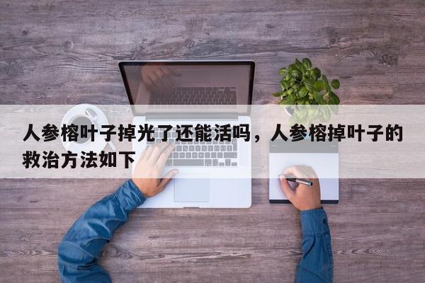 人参榕叶子掉光了还能活吗，人参榕掉叶子的救治方法如下-第1张图片-我家生活百科