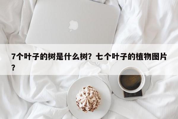 7个叶子的树是什么树？七个叶子的植物图片？-第1张图片-我家生活百科